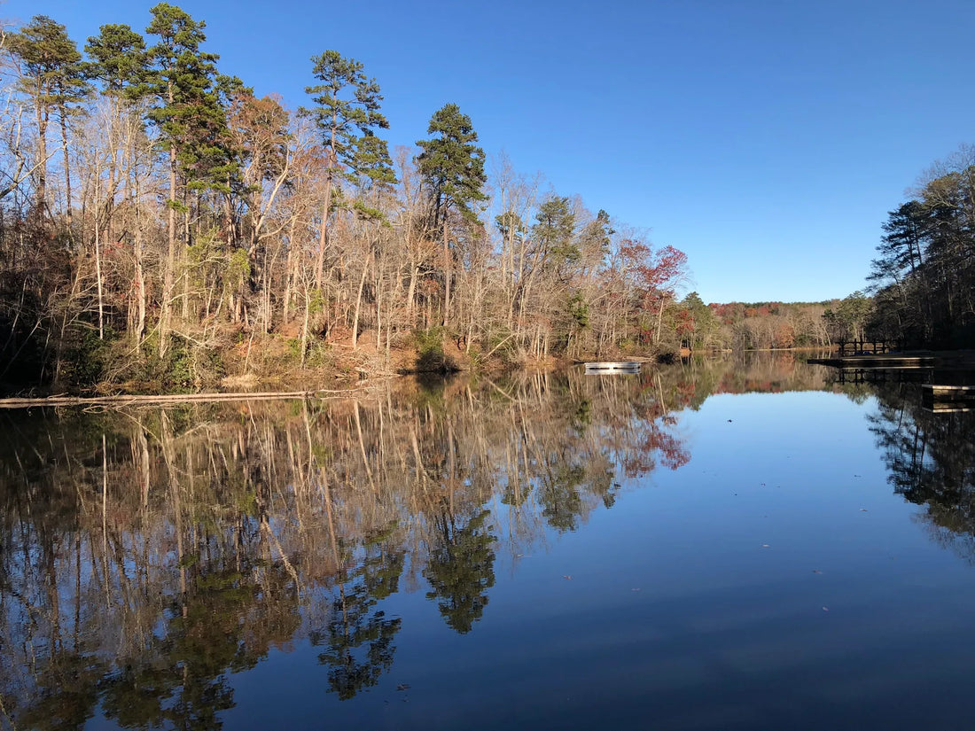 Top Logo Animation Subscription Agencies and Companies in Apex, North Carolina