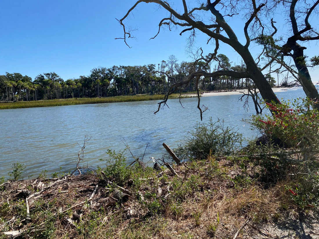 Best or Top Business Card Design Agencies and Companies in Aiken, South Carolina