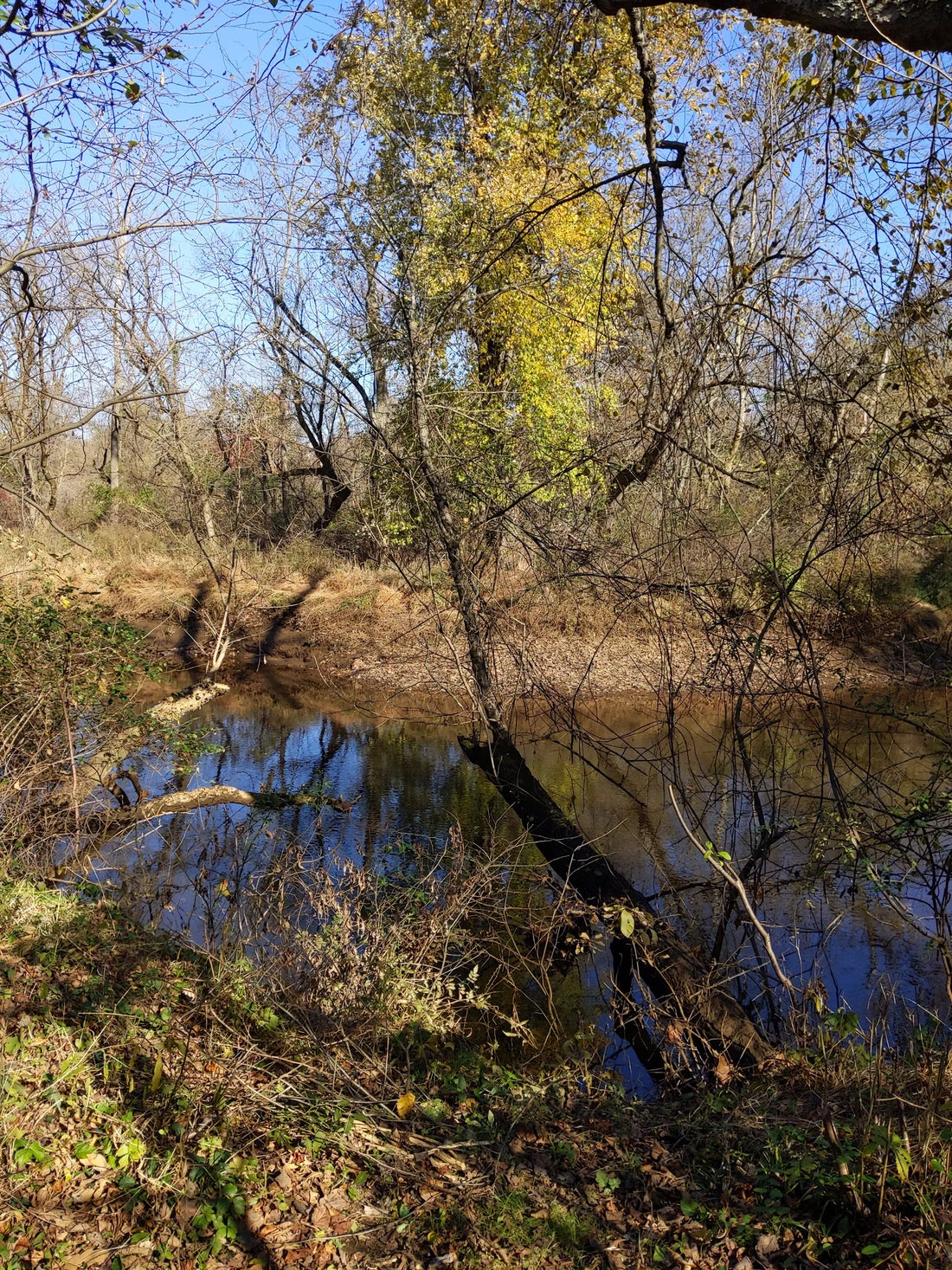 Best or Top Invitation Design Agencies and Companies in Trenton, New Jersey