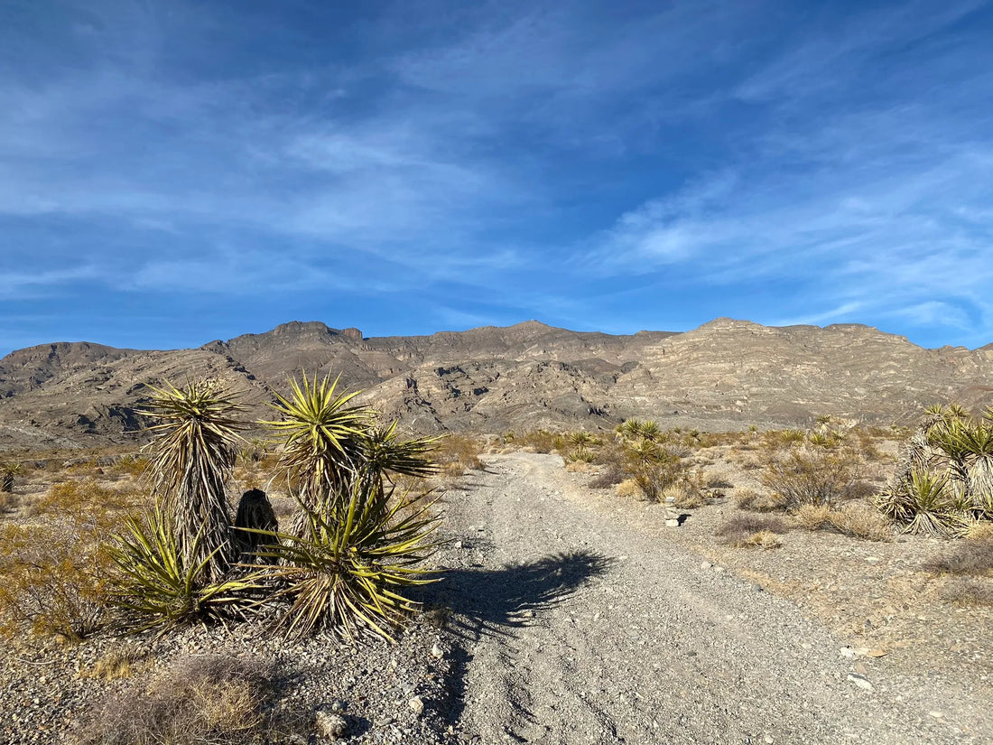 Best or Top App UI/UX Design Agencies and Companies in North Las Vegas, Nevada