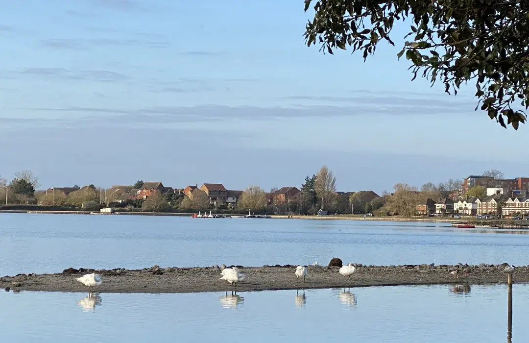 Top or Best Virtual Background Design Agencies and Companies in Poole, England