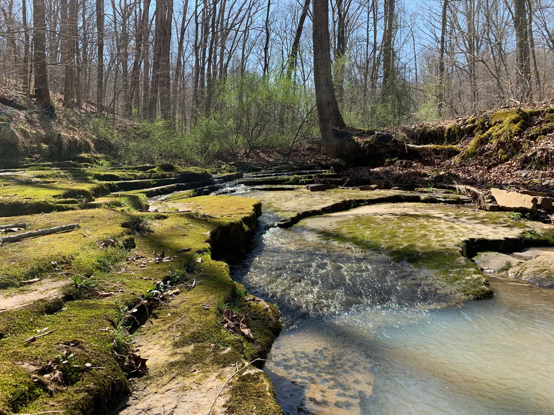 Top or Best Brand Identity Package Agencies and Companies in Illinois