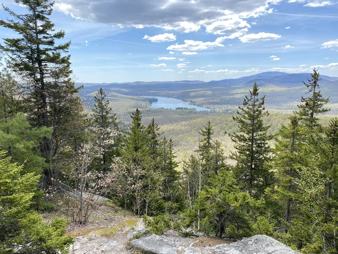 Best or Top Video Editing Agencies and Companies in Barre Town, Vermont