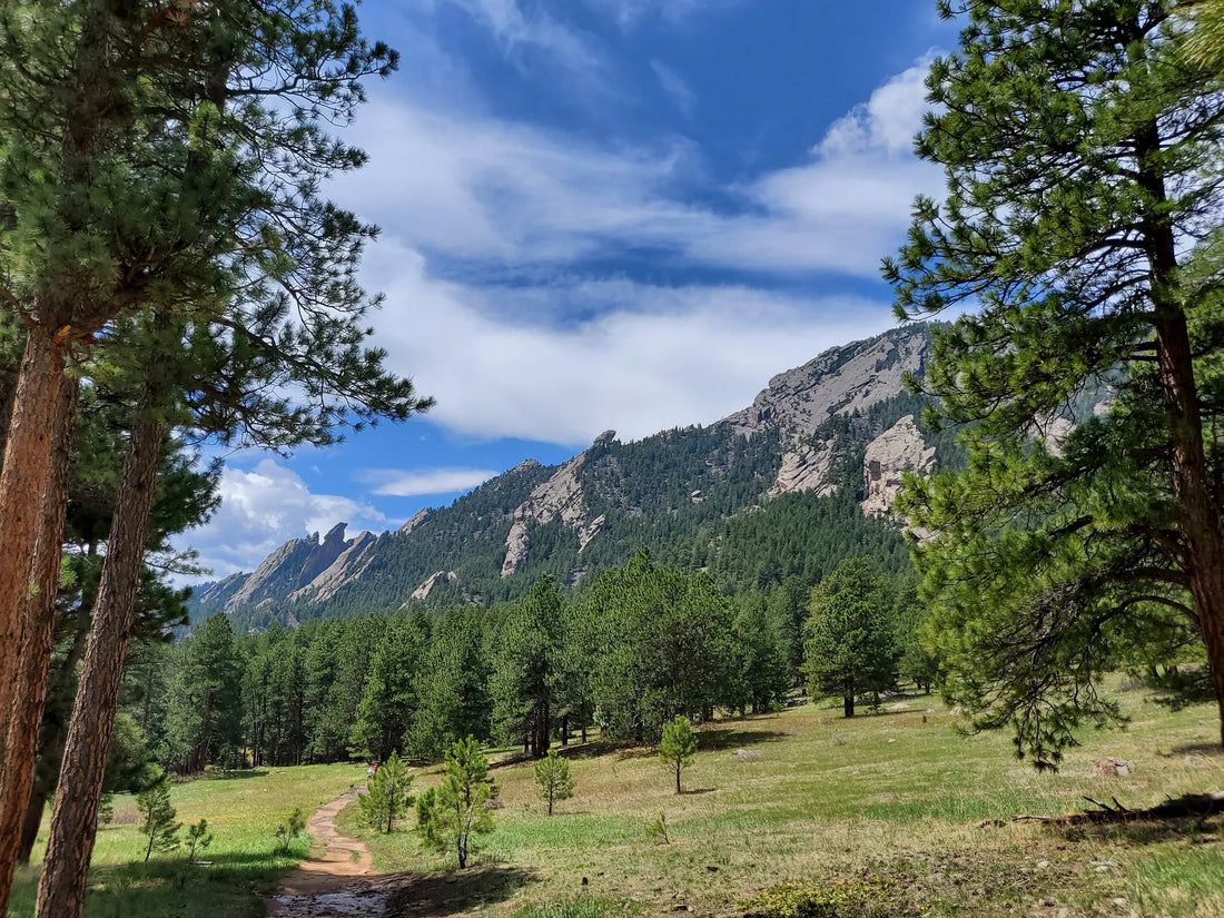 Top Influencer Management Agencies and Companies in Colorado
