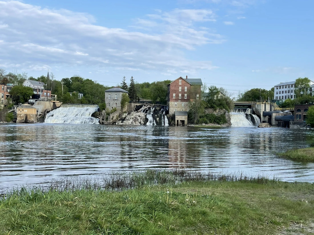 Best or Top Cartoons & Comics Agencies and Companies in St. Johnsbury, Vermont