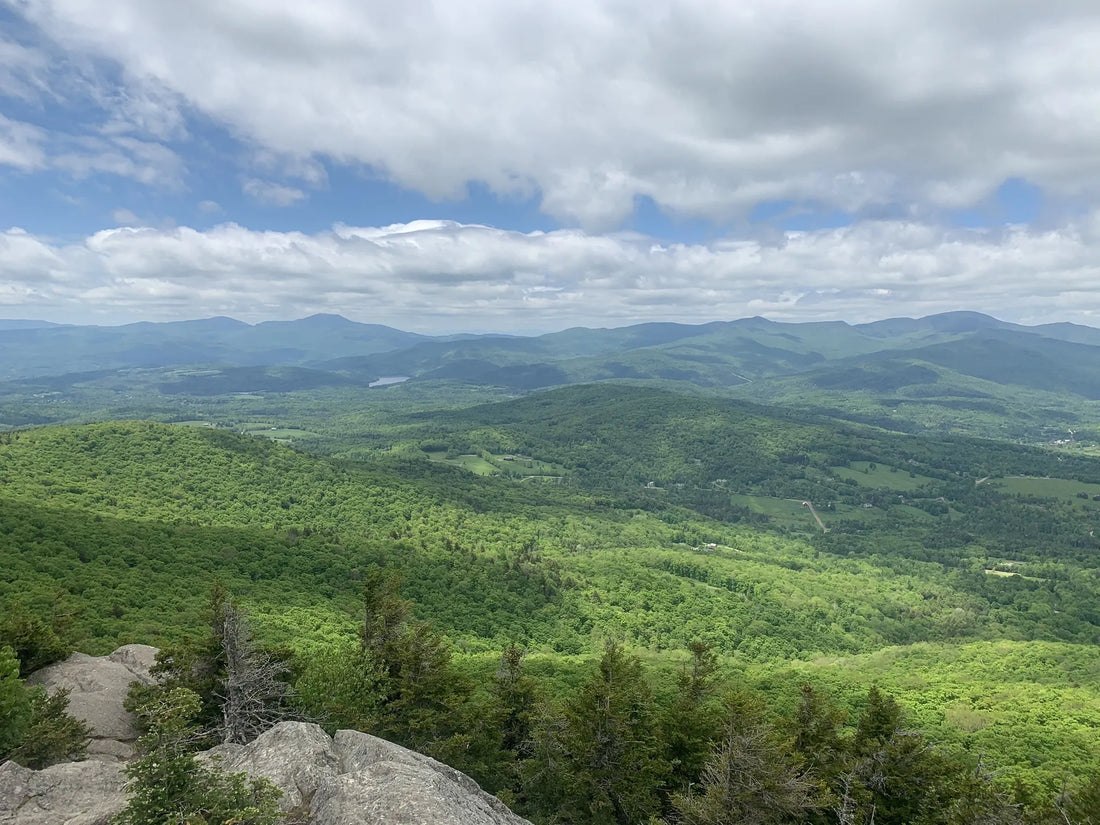Best or Top NFT Art Agencies and Companies in Williston, Vermont