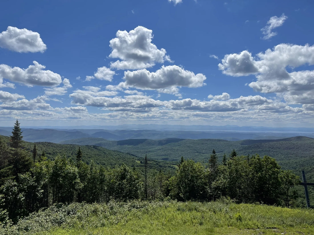 Best or Top Copywriting Agencies and Companies in Winooski, Vermont