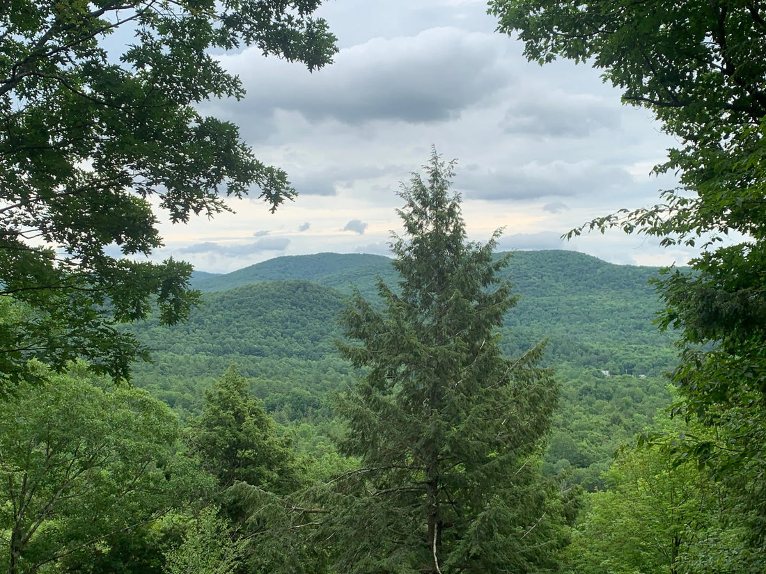 Best or Top Stationery Design Agencies and Companies in St. Johnsbury, Vermont