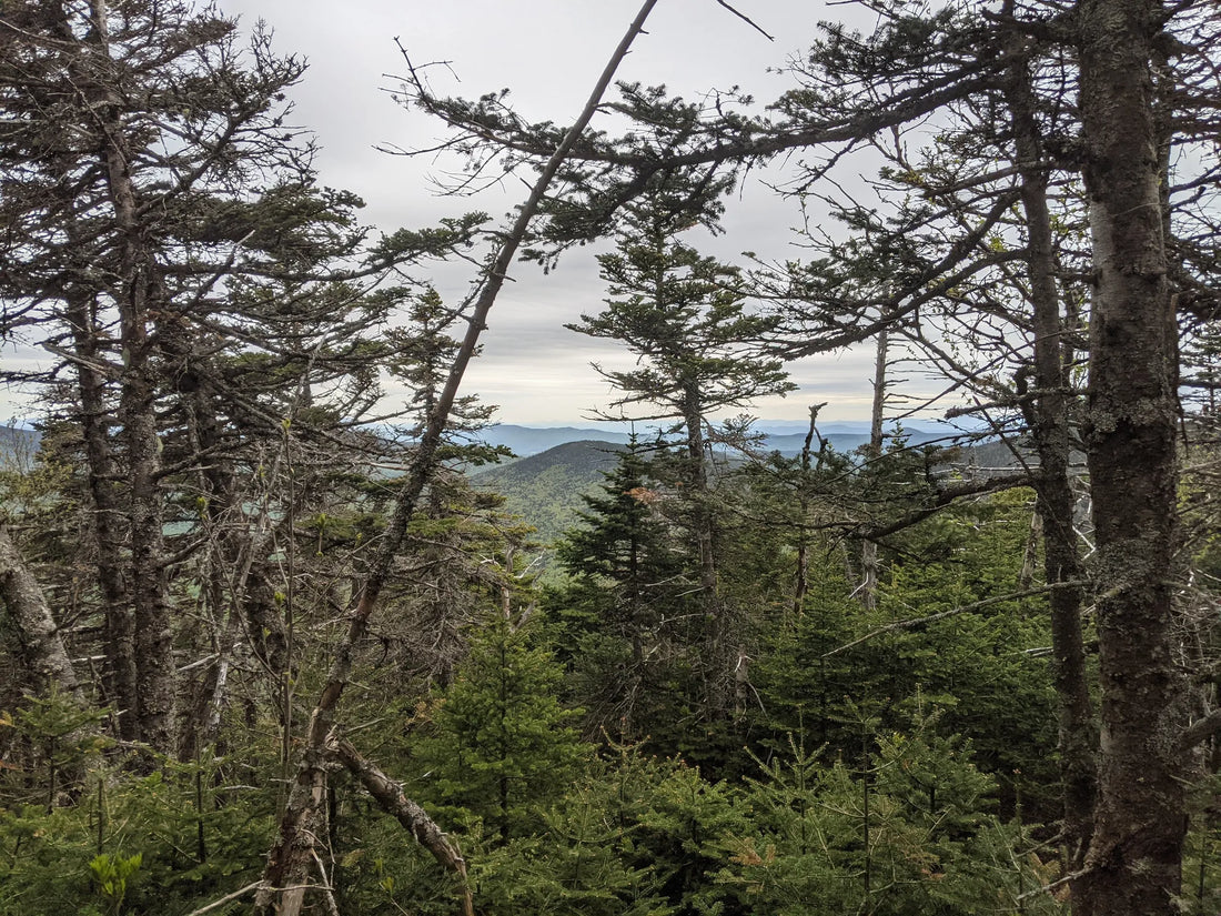 Best or Top Social Media Design Agencies and Companies in St. Johnsbury, Vermont