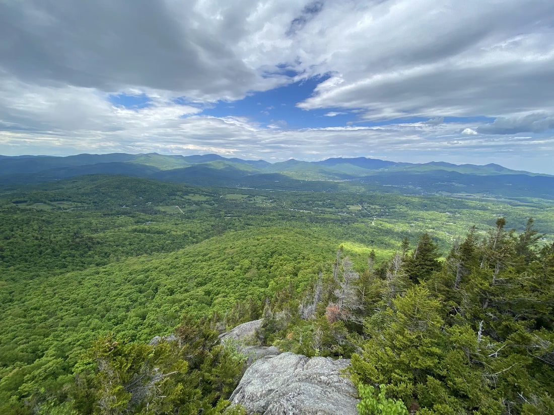 Best or Top Email Campaign Design Agencies and Companies in Montpelier, Vermont