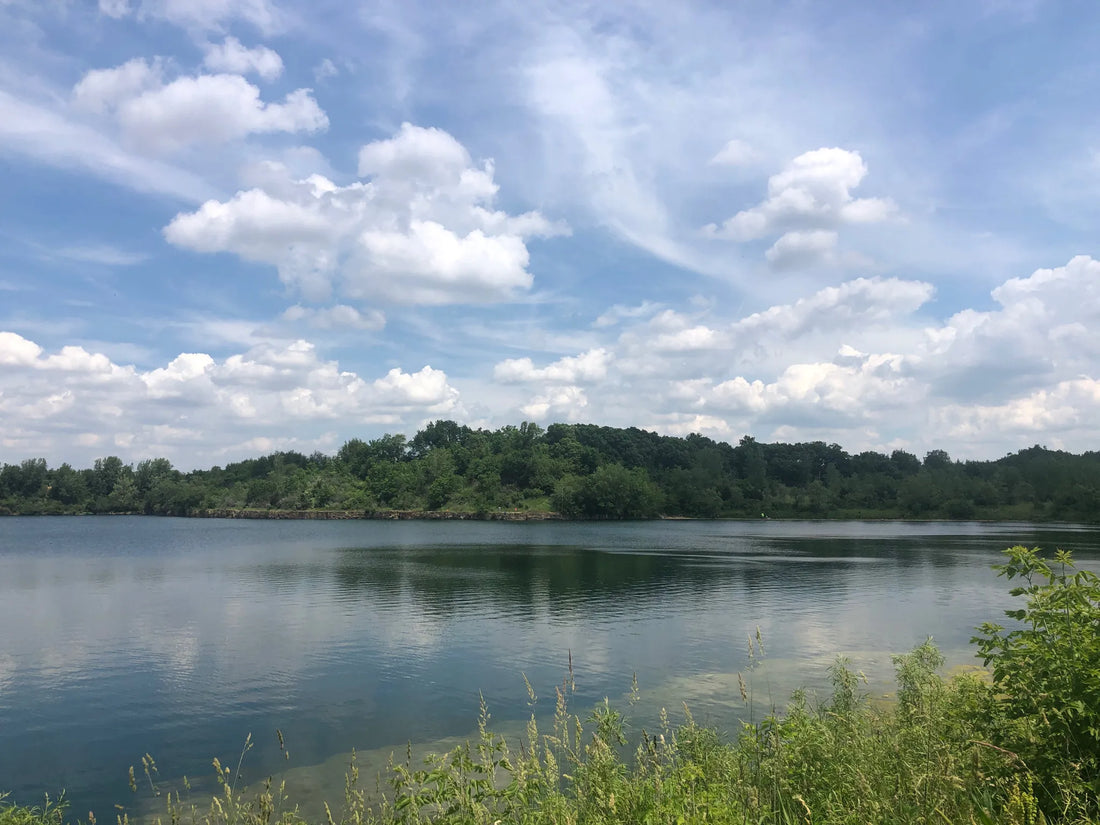 Top or Best Graphic Design Subscription Agencies and Companies in Illinois