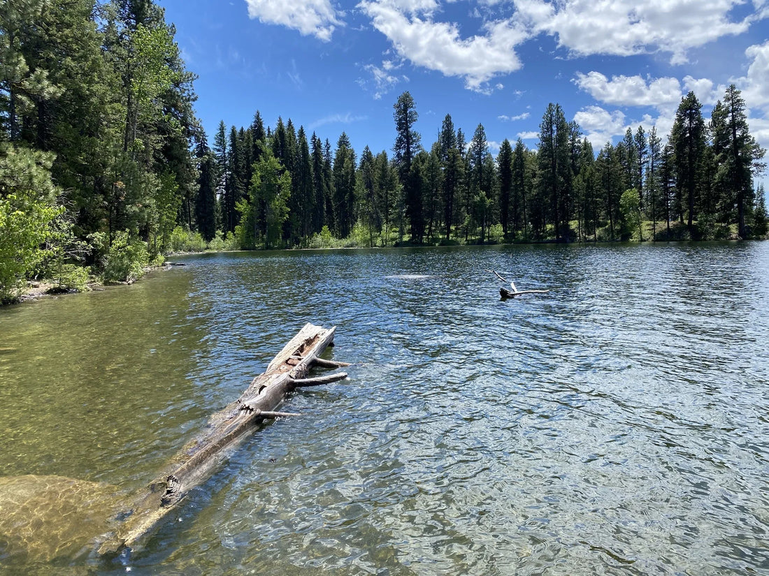 Top or Best Talent Management Agencies and Companies in Idaho