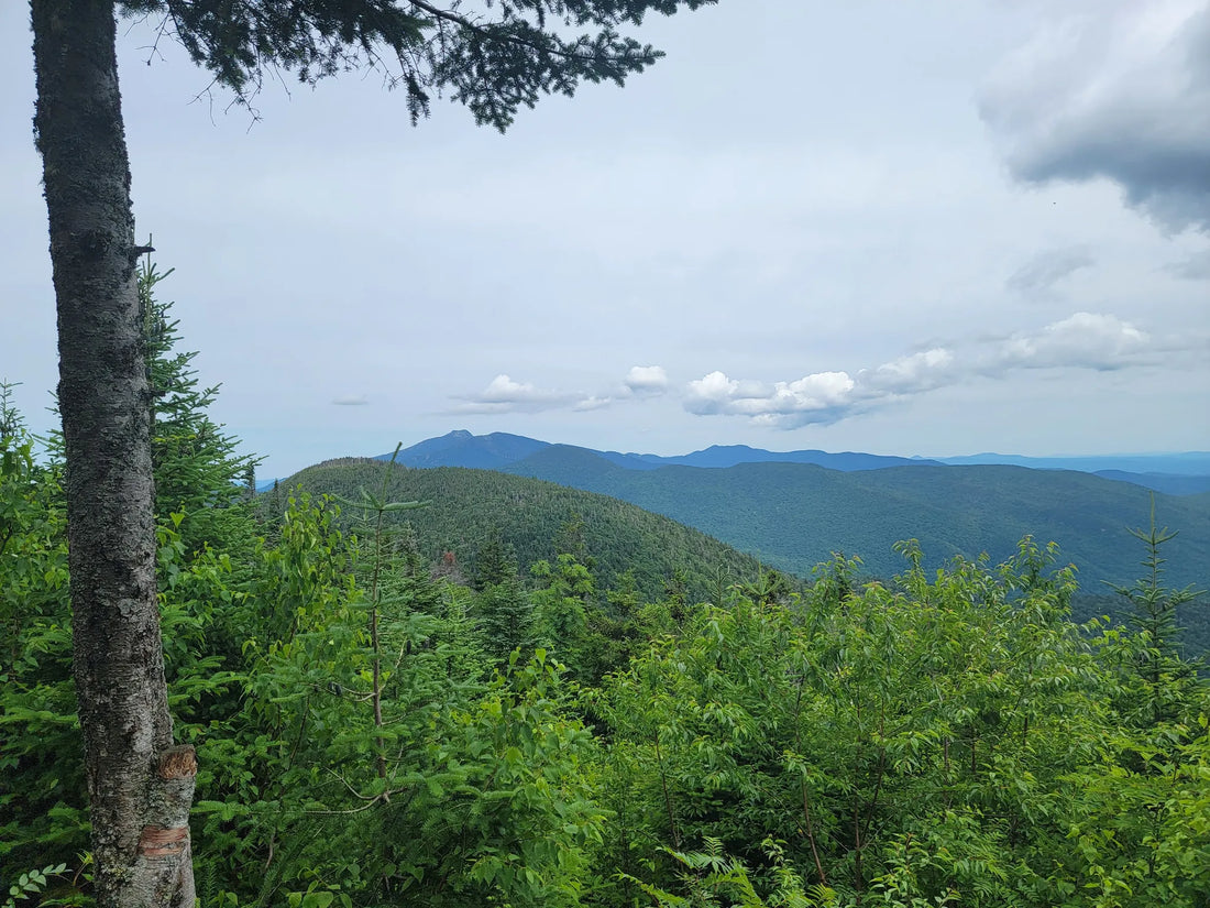 Best or Top Logo Animation Agencies and Companies in Shelburne, Vermont