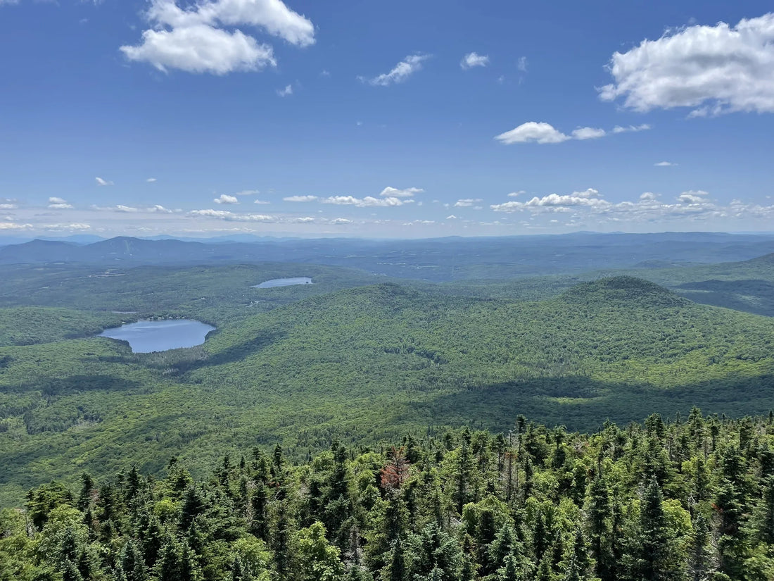 Best or Top Logo Design Agencies and Companies in Shelburne, Vermont