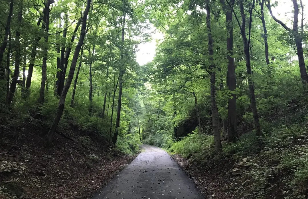 Top or Best Website Design Agencies and Companies in Nicholasville, Kentucky