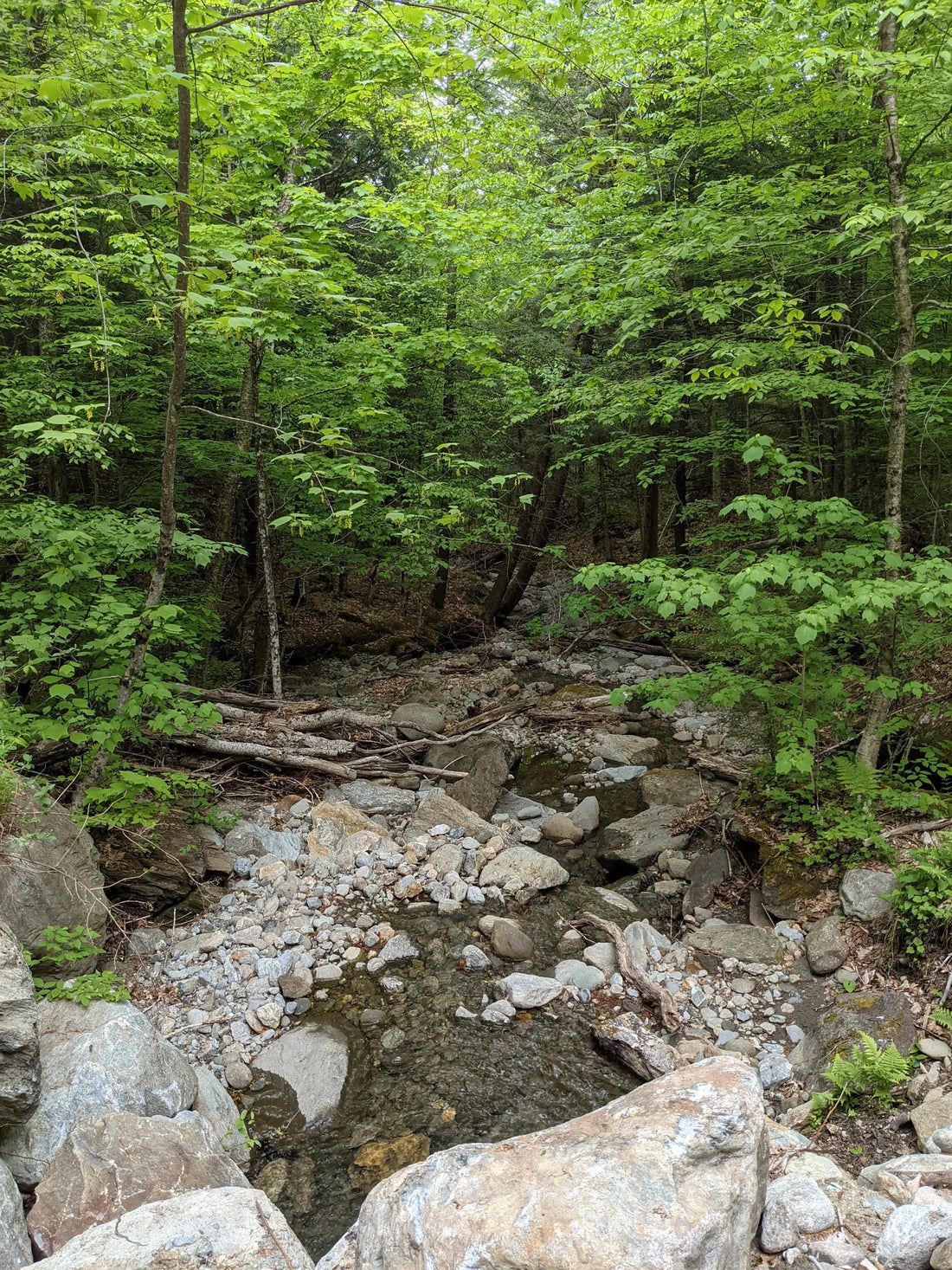 Best or Top AR Filters & Lenses Agencies and Companies in Montpelier, Vermont