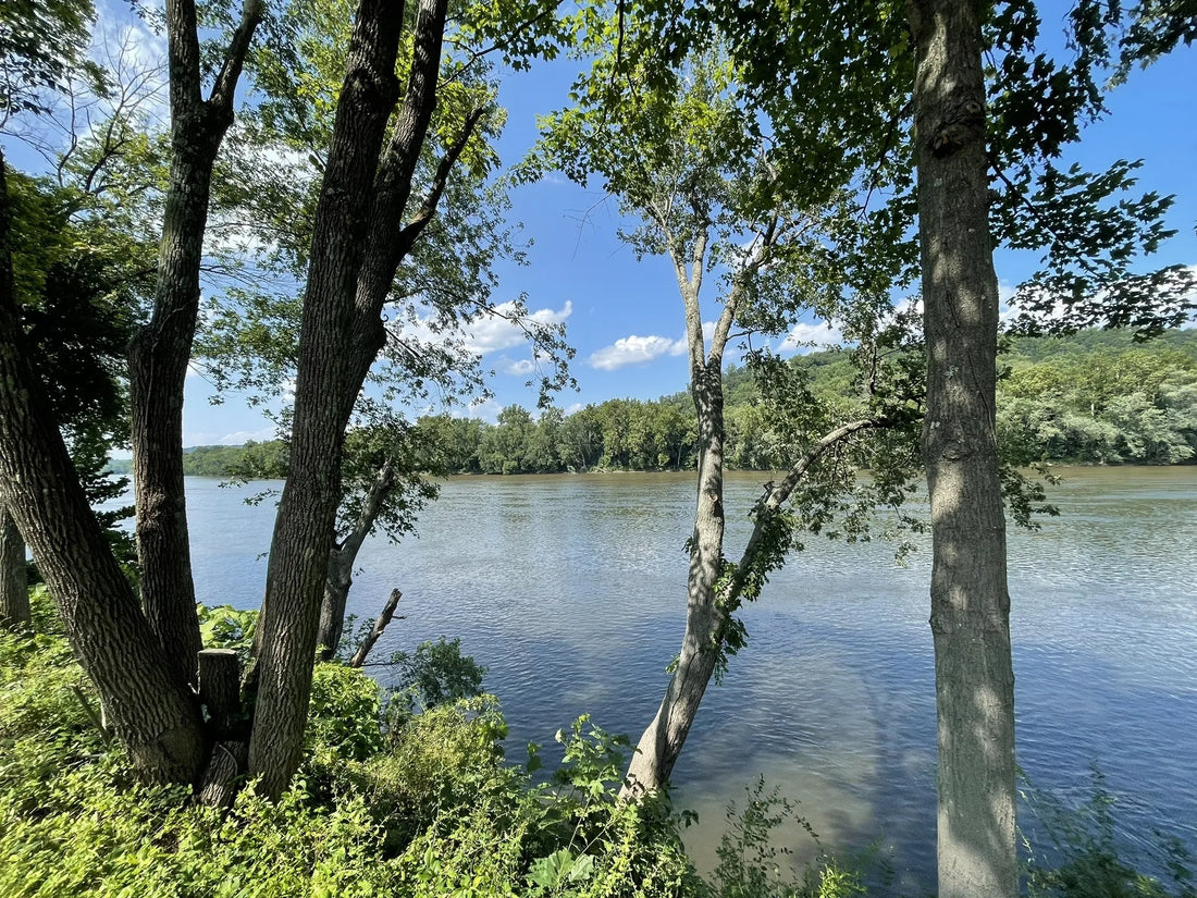 Best or Top Poster Design Agencies and Companies in Trenton, New Jersey