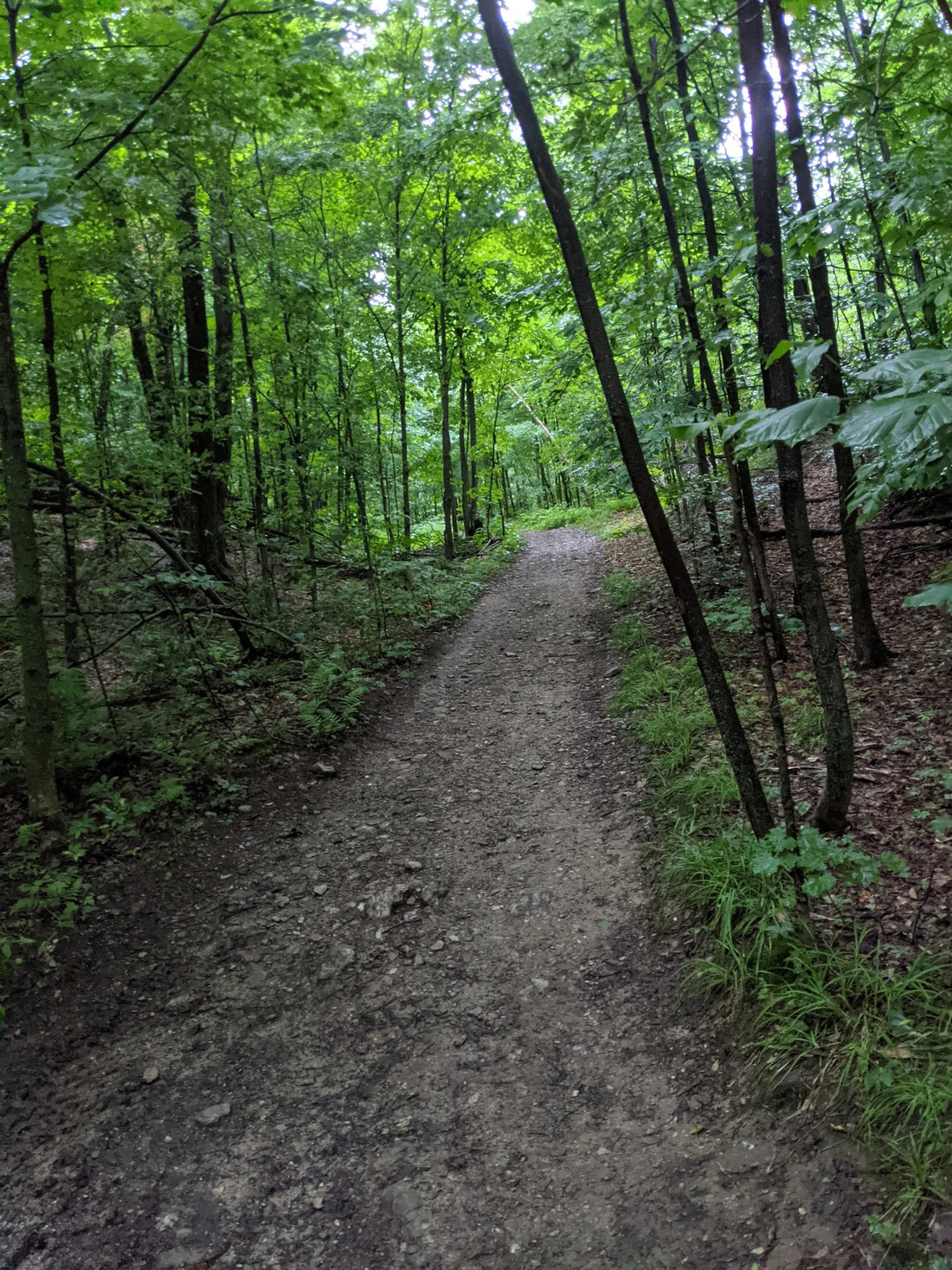 Best or Top LinkedIn Management Agencies and Companies in St. Albans town, Vermont