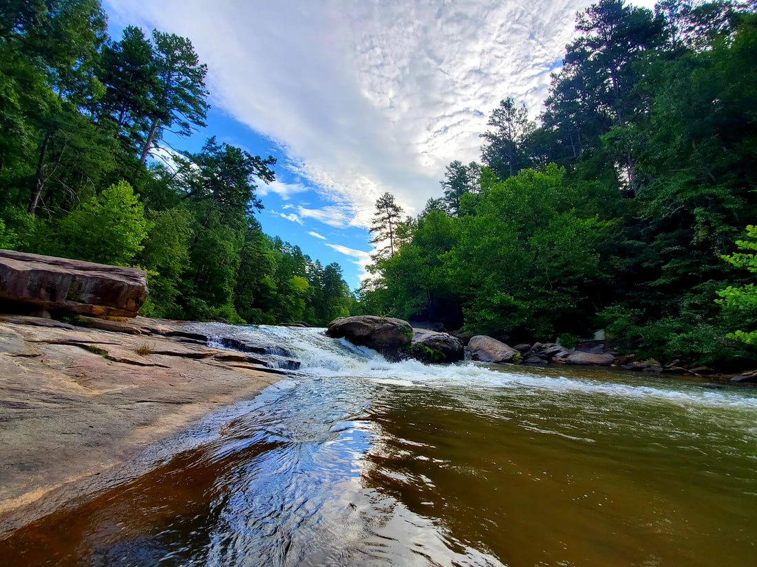 Best or Top Drawing & Illustration Agencies and Companies in Aiken, South Carolina