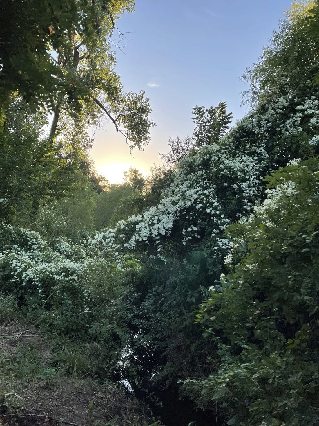 Best or Top Snapchat Management Agencies and Companies in Yukon, Oklahoma