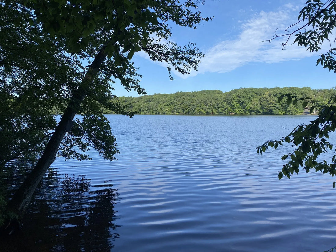 Top Influencer Marketing Agencies and Companies in Connecticut