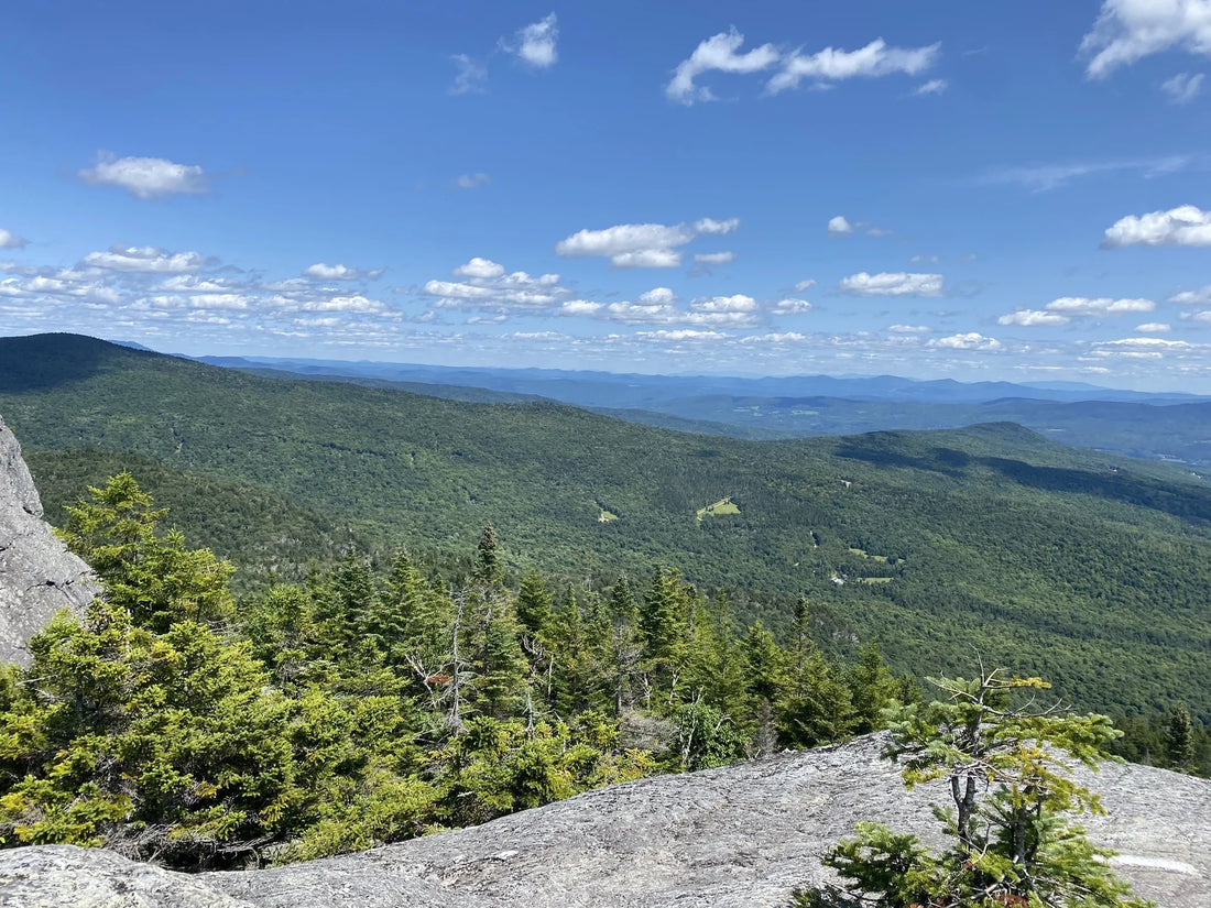 Best or Top Copywriting Agencies and Companies in Williston, Vermont