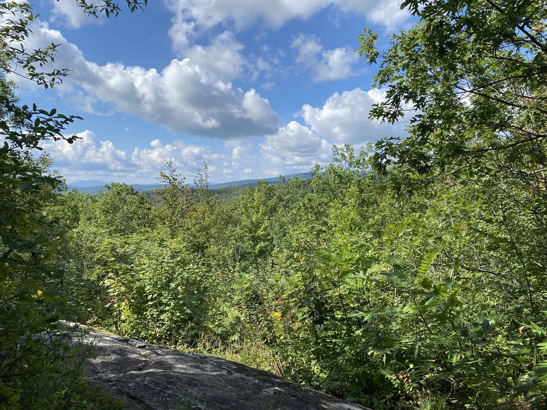 Best or Top LinkedIn Management Agencies and Companies in Barre City, Vermont