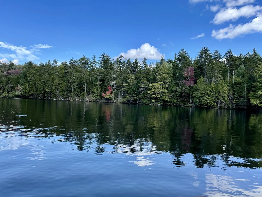 Best or Top Virtual Background Design Agencies and Companies in St. Albans town, Vermont