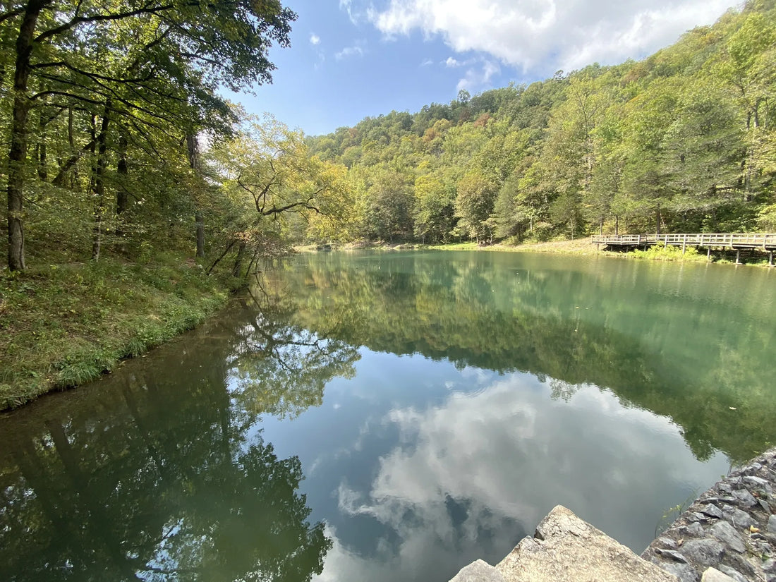 Top Influencer Brand Partnership Agencies and Companies in Arkansas