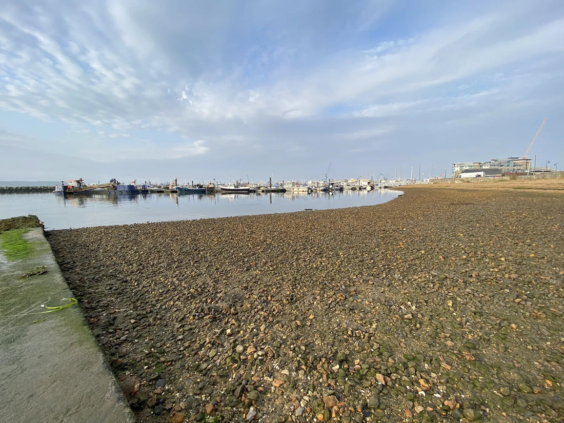 Top or Best App UI/UX Design Agencies and Companies in Poole, England