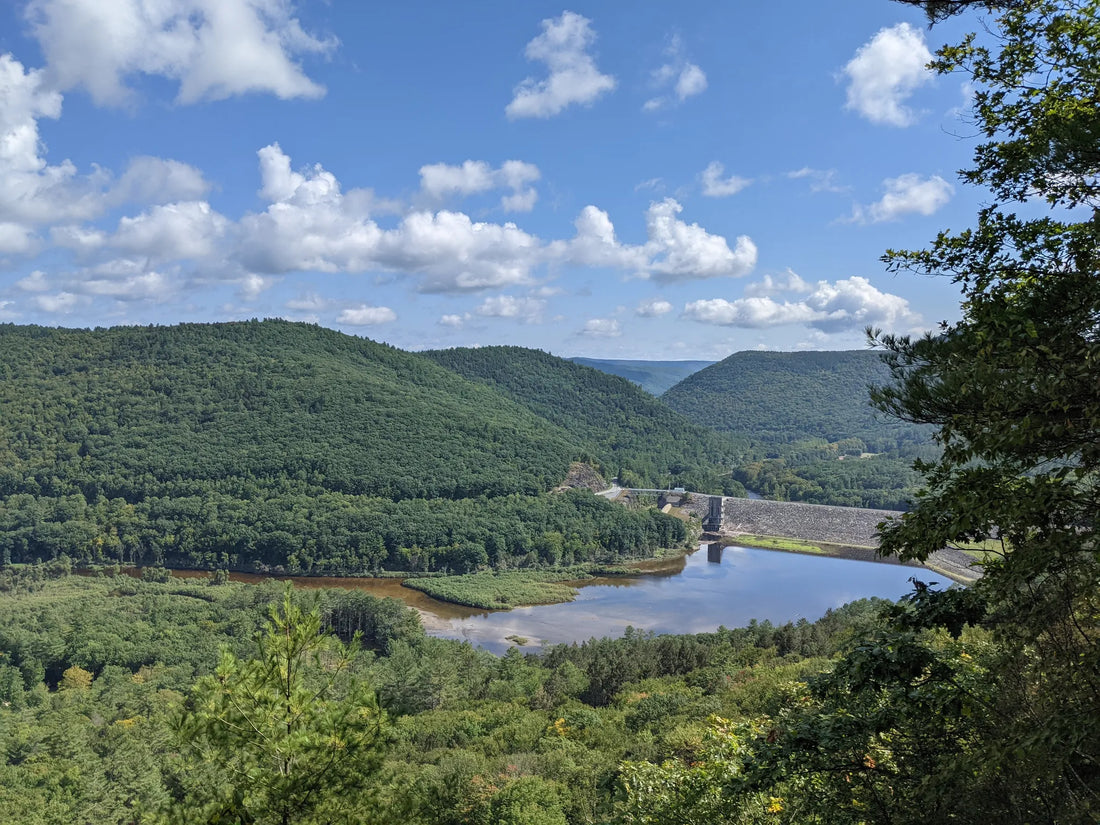 Best or Top Portraits & Caricatures Agencies and Companies in Barre City, Vermont