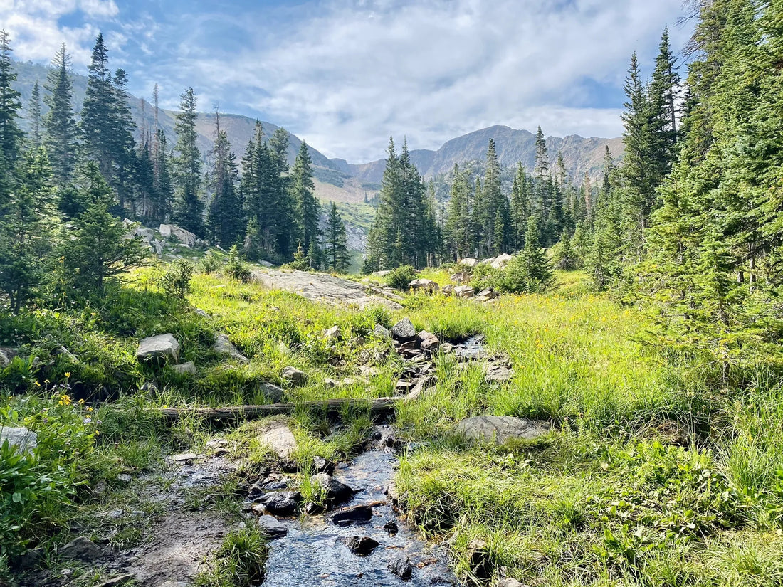Top Influencer Outreach and Coordination Agencies and Companies in Colorado