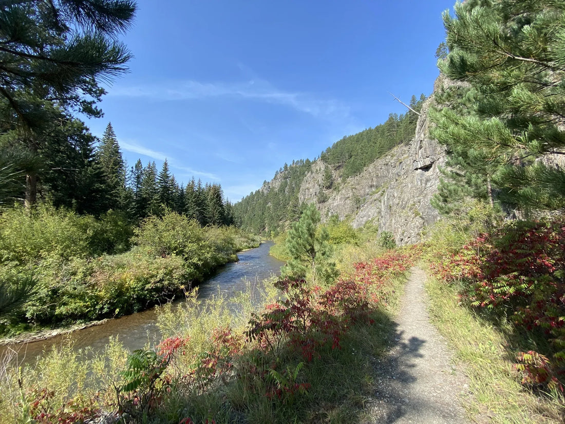 Best or Top Infographic Design Agencies and Companies in Sioux Falls, South Carolina