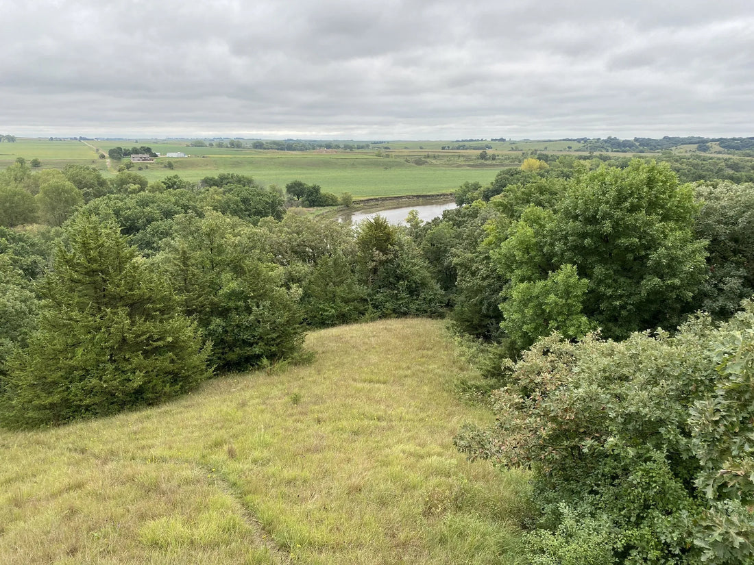 Best or Top Email Campaign Design Agencies and Companies in Sioux Falls, South Dakota