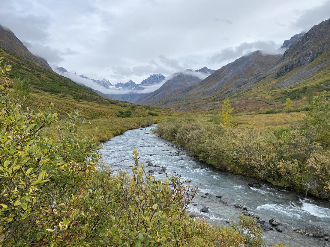Top Video Editing Subscription Agencies and Companies in Alaska