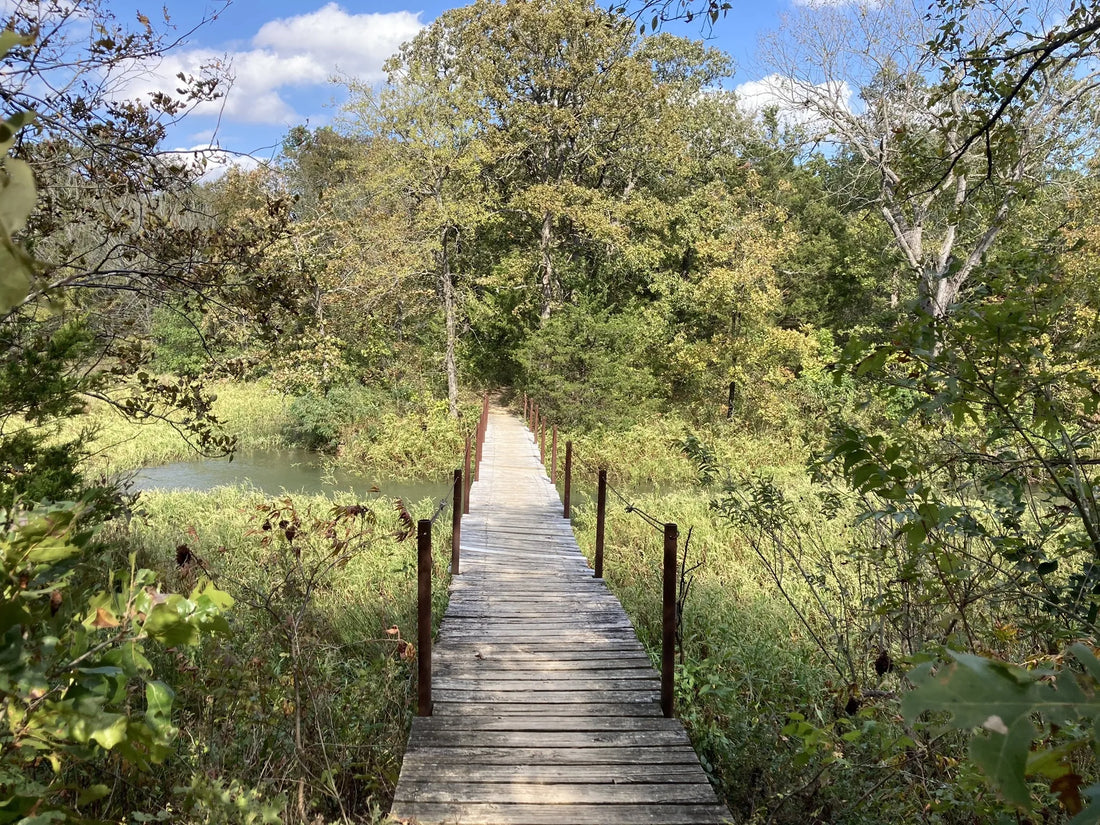 Best or Top Logo Design Agencies and Companies in Ardmore, Oklahoma