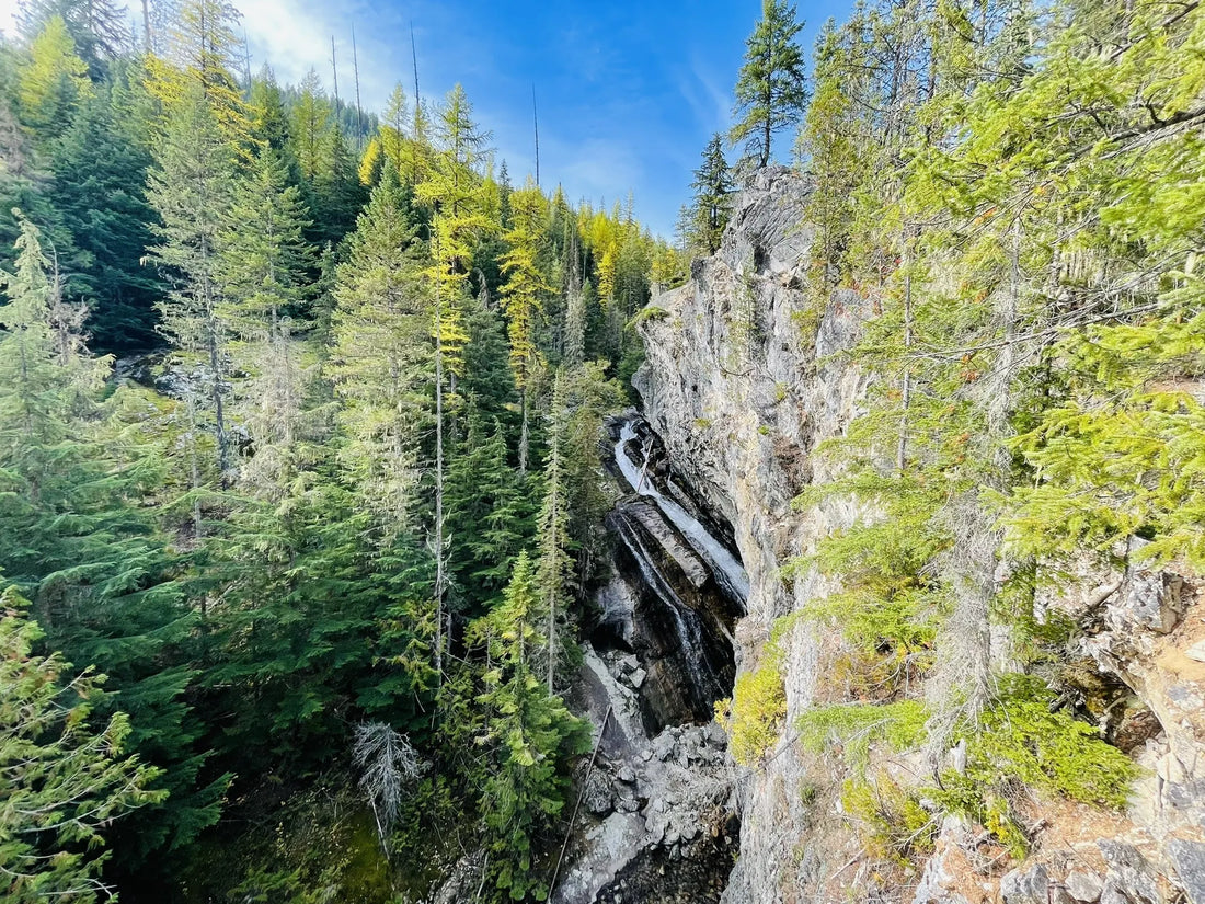 Top or Best Graphic Design Agencies and Companies in Idaho