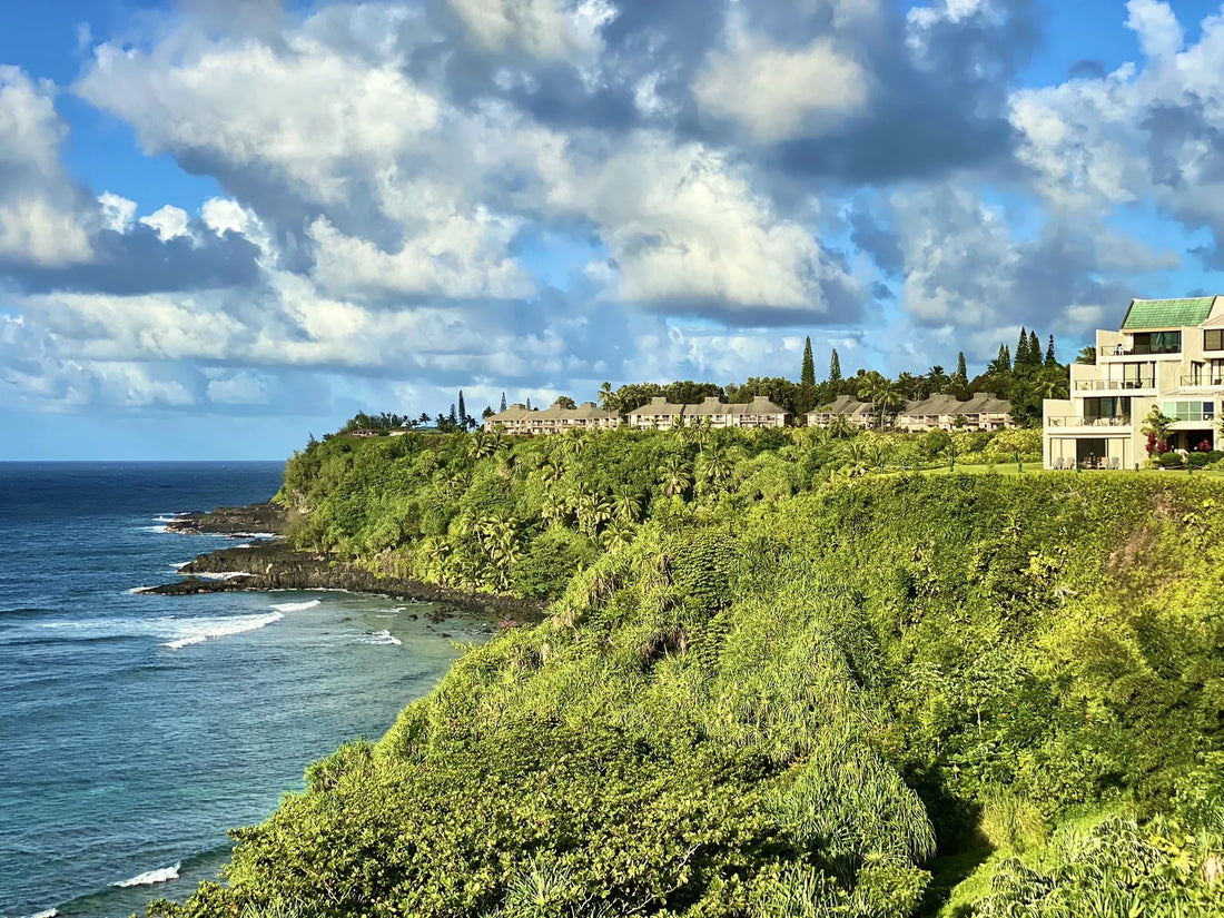 Top or Best Video Editing Agencies and Companies in Hawaii