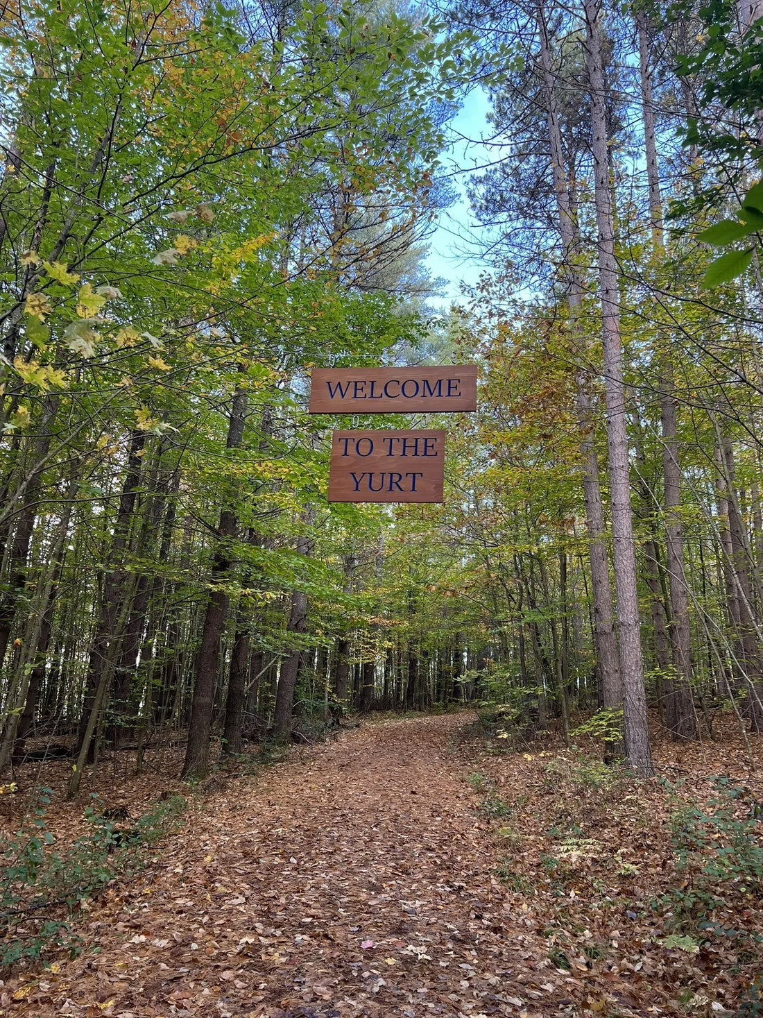 Best or Top Direct Mail Design Agencies and Companies in St. Albans town, Vermont