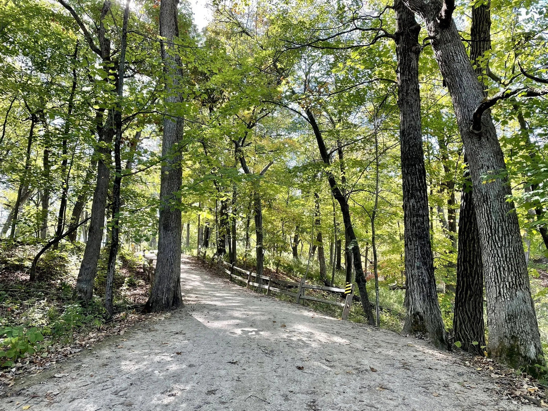 Top or Best Influencer Marketing Agencies and Companies in Illinois