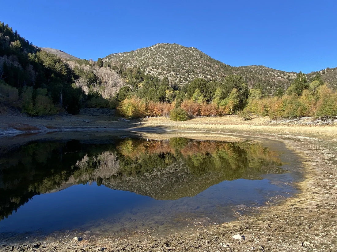 Best or Top Postcard Design Agencies and Companies in Reno, Nevada