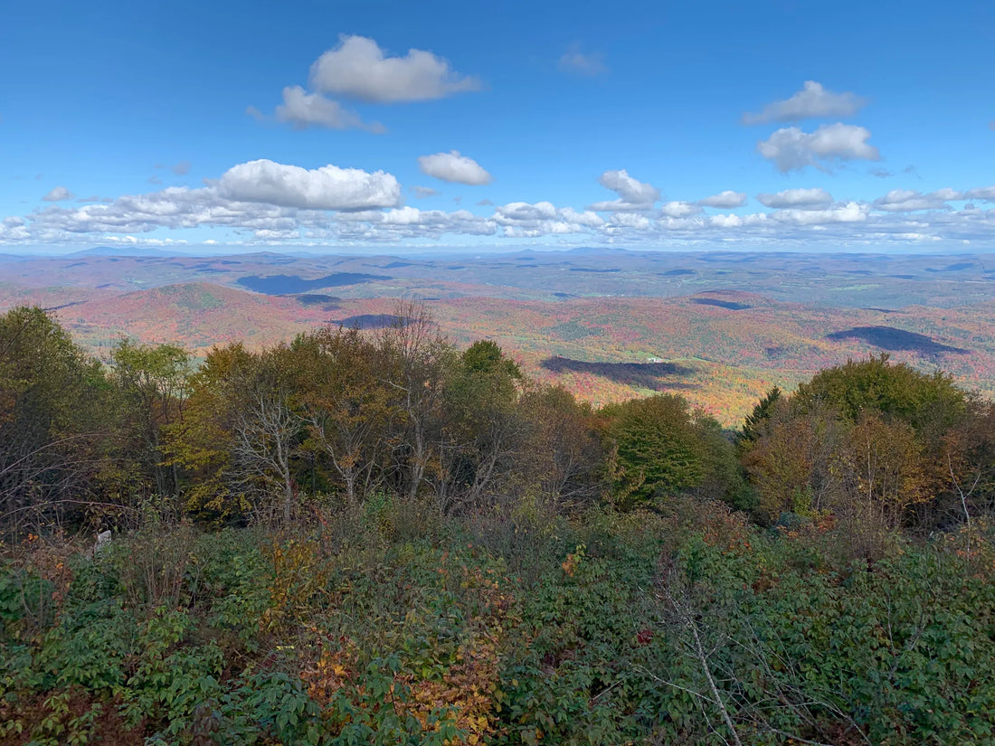 Best or Top Instagram Management Agencies and Companies in Barre City, Vermont