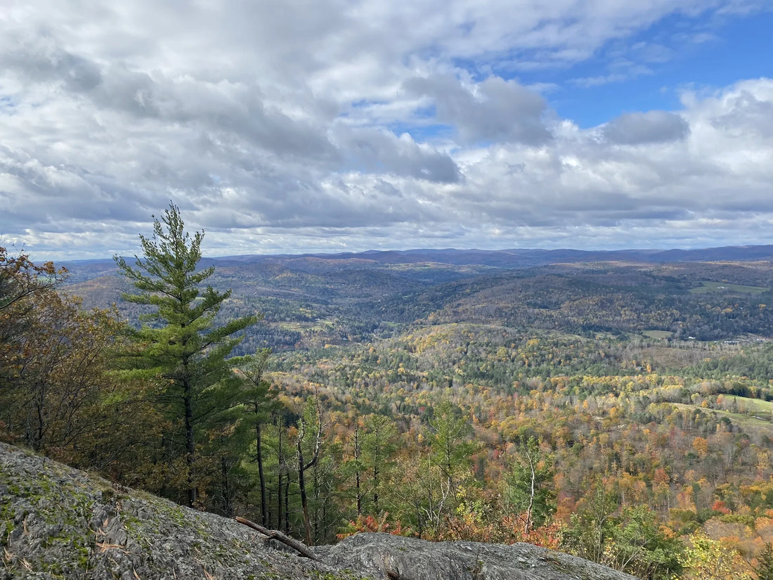 Best or Top Social Media Management Agencies and Companies in Montpelier, Vermont