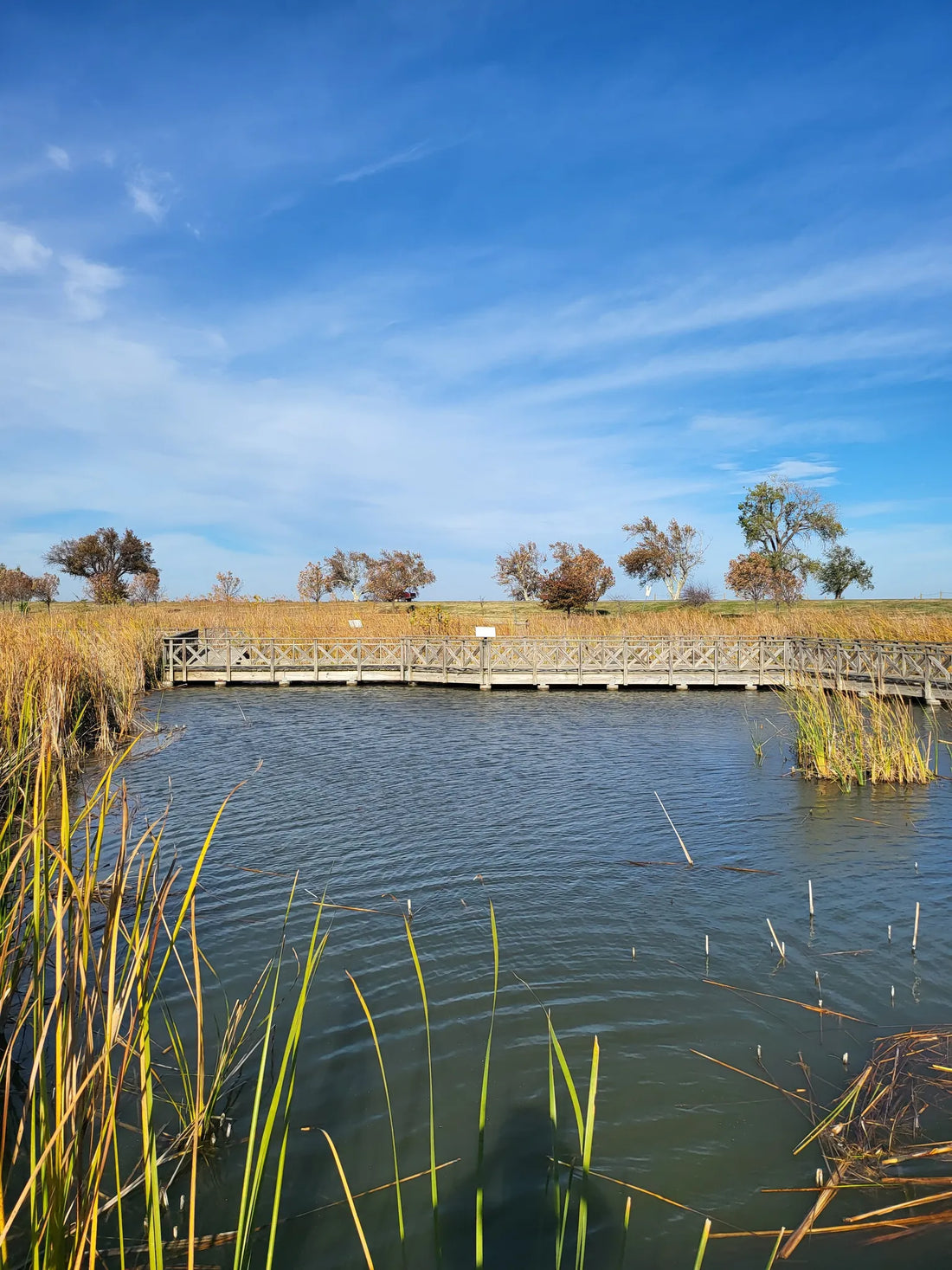 Best or Top Postcard Design Agencies and Companies in Yukon, Oklahoma