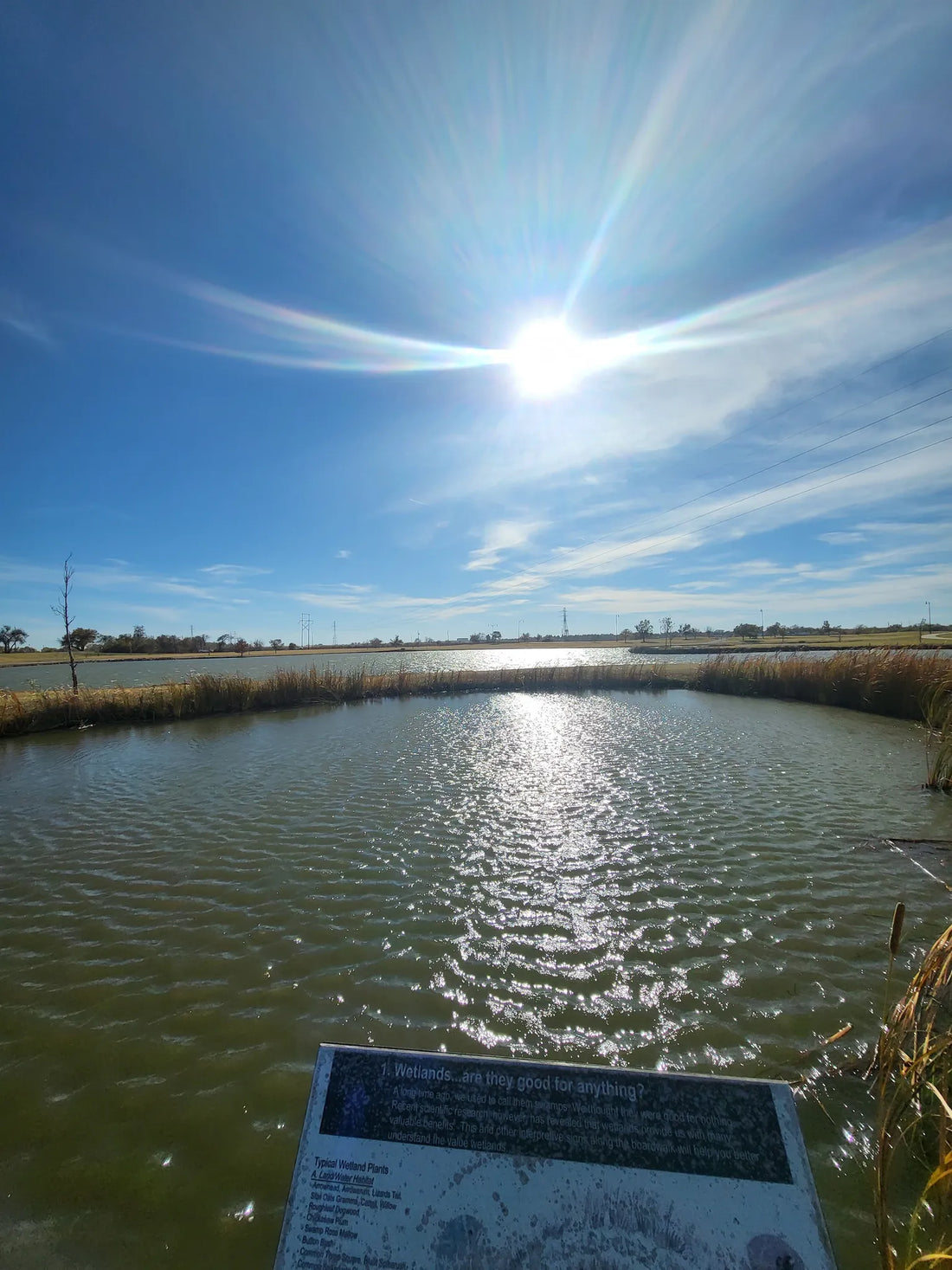 Best or Top Menu Design Agencies and Companies in Yukon, Oklahoma