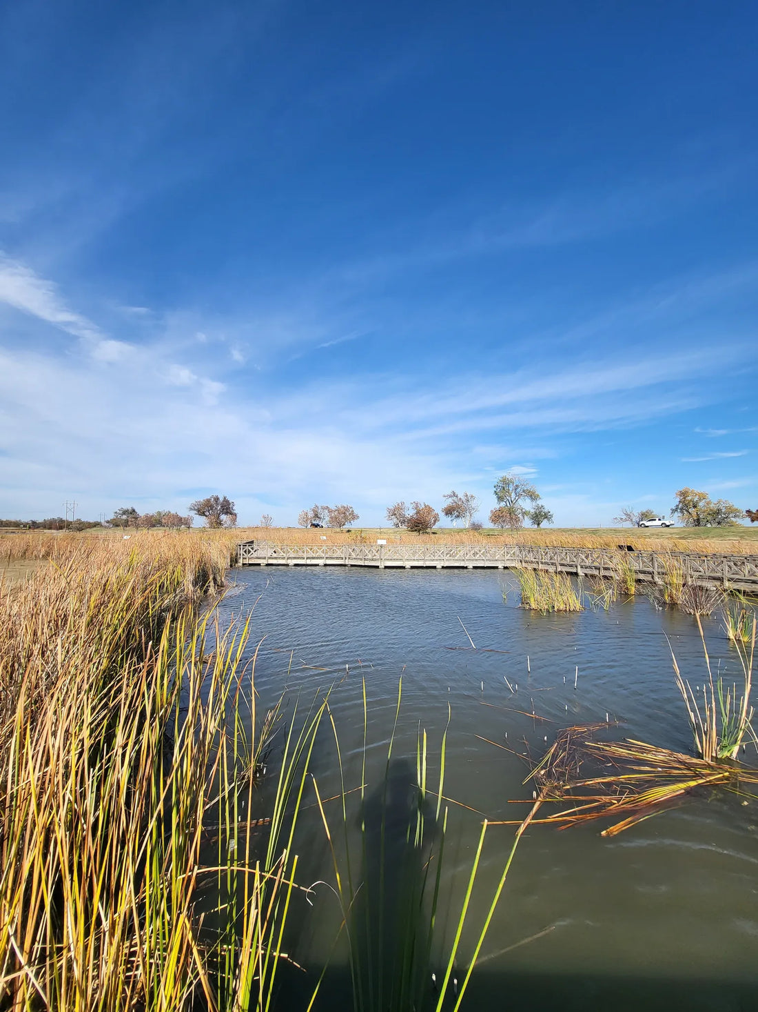 Best or Top Animation & Motion Graphics Agencies and Companies in Yukon, Oklahoma