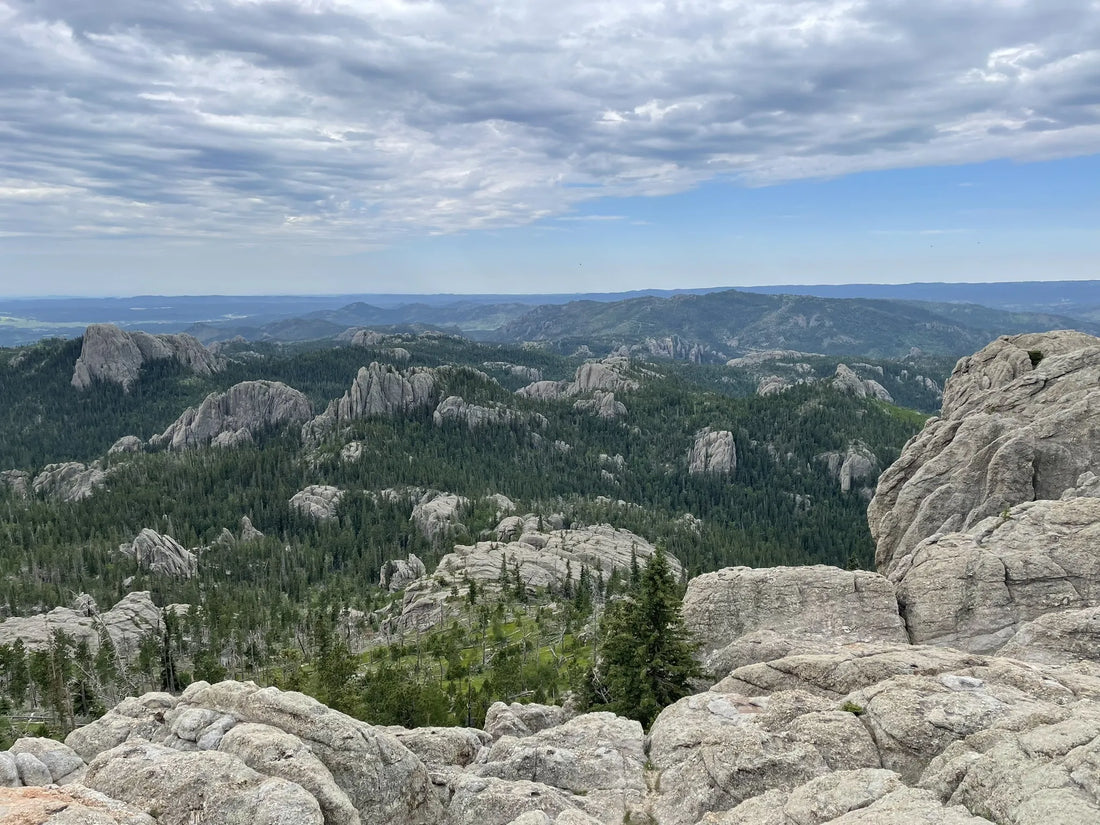 Best or Top Logo Animation Agencies and Companies in Sioux Falls, South Dakota