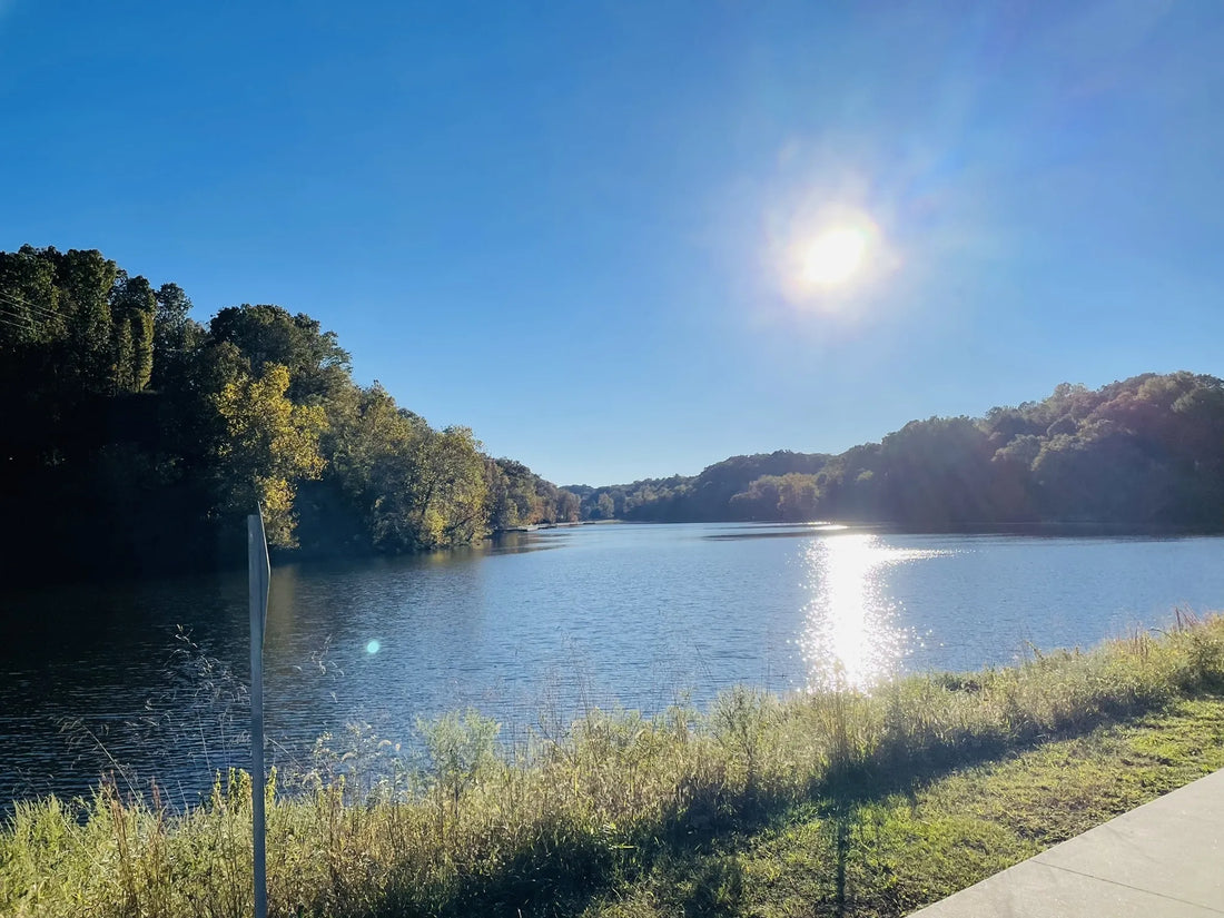 Top Athlete Brand Partnership Agencies and Companies in Arkansas
