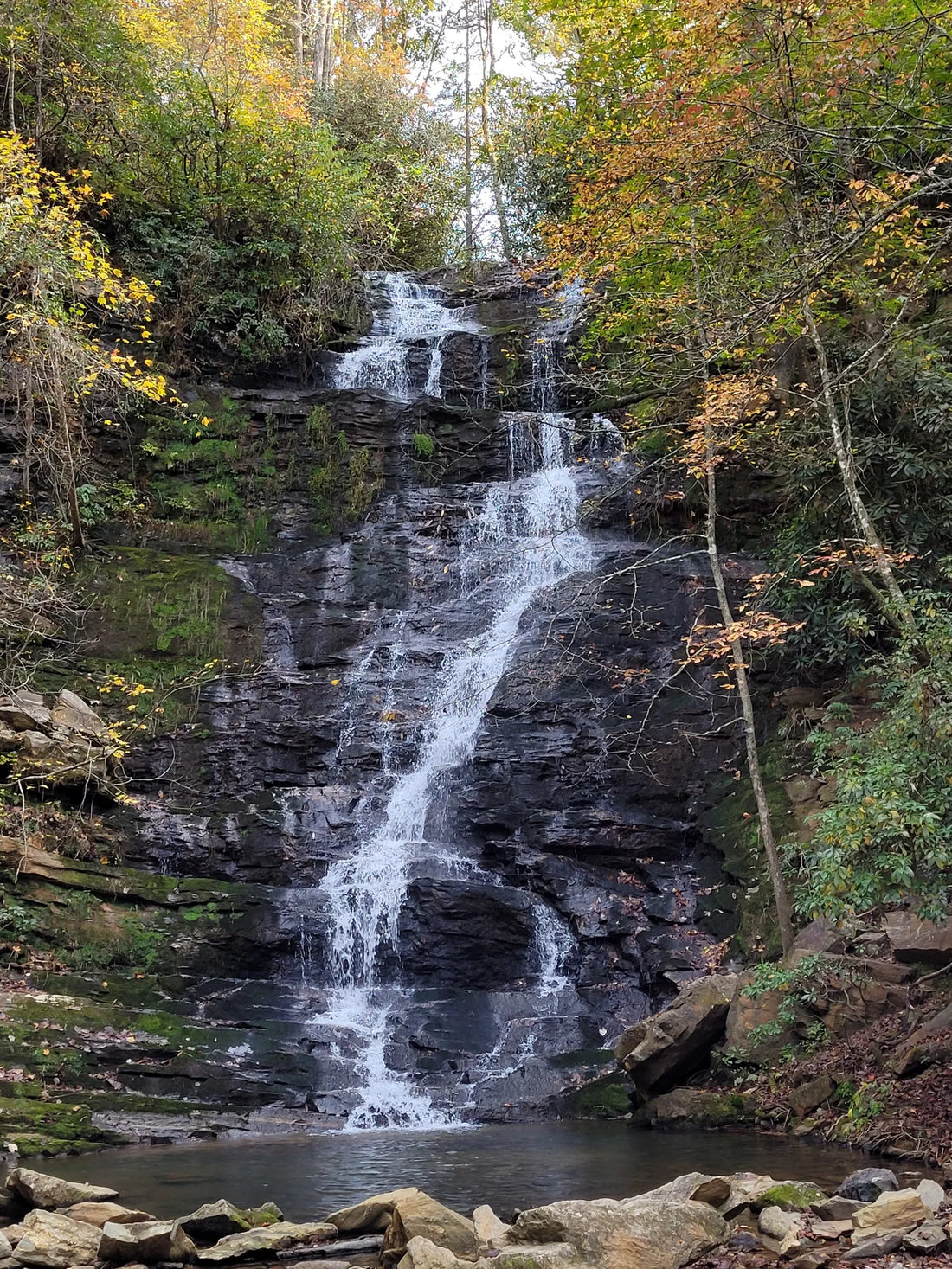 Best or Top Mural Design Agencies and Companies in Aiken, South Carolina