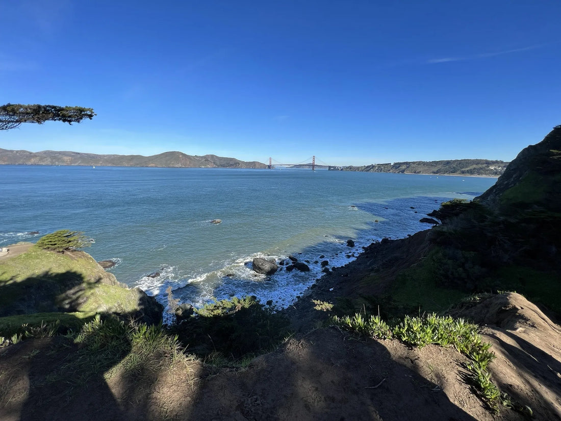 Top Influencer Brand Collaboration Agencies and Companies in California